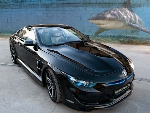 Vilner BMW M6 Coupe Bullshark(E63). 