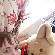 ��������, 41 ���, ����������