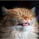 ���� ������, ������, 26 ��� - ��������� 25 ������� 2024 � ������ ���� ����������