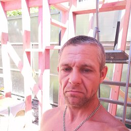 , 44, 