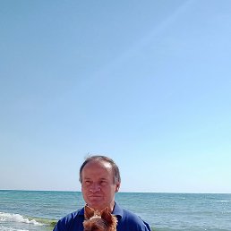 �������� ��������, �����������, 64 ����