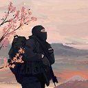  , -, 41  -  31  2024    