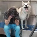 ���� �������, ����, 48 ��� - ��������� 17 ���� 2024 � ������ ���� ����� ������ ������ � ����!�