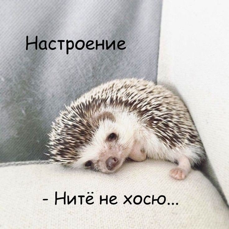 �������� ��������� - 11 ��� 2026 � 16:24