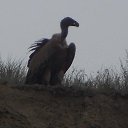 ���� ������, ������� - ��������� 10 ������ 2026