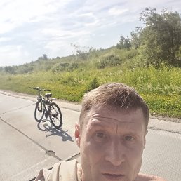 , 41, 