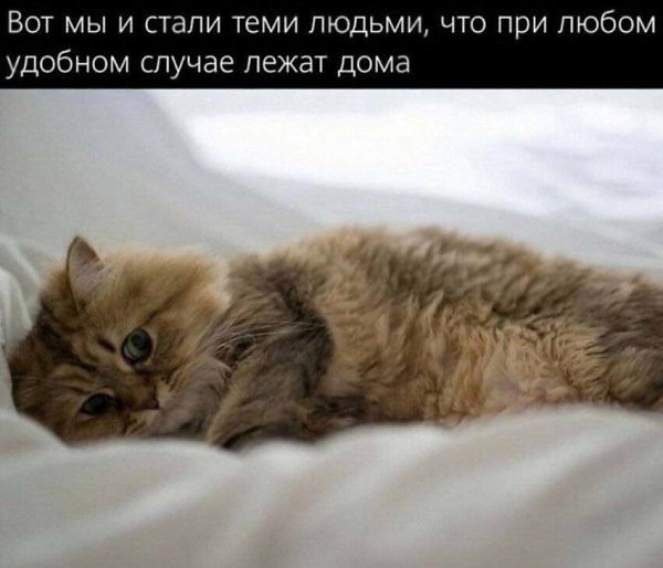 ��� ���� - 19 ������� 2025 � 19:47