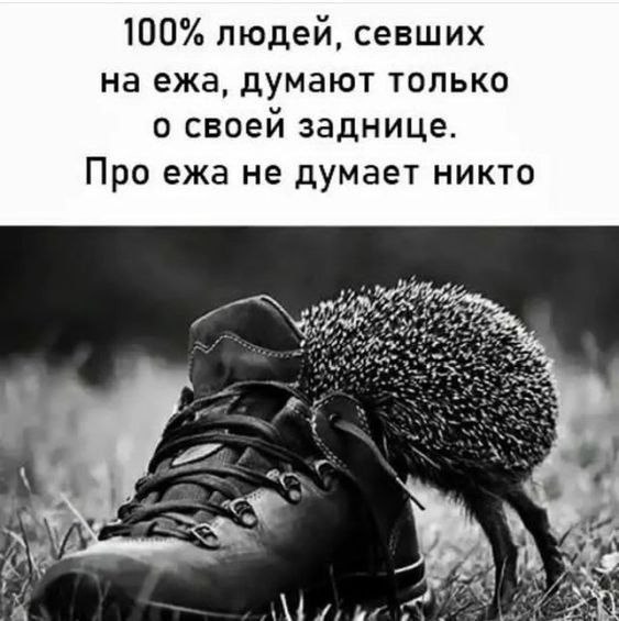   - 20  2025  02:13