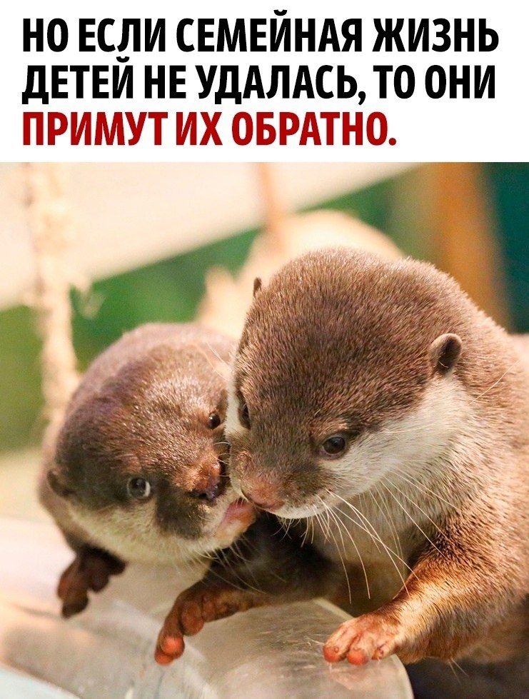     - 2