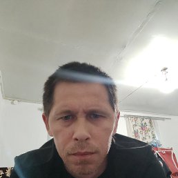 , 41, 