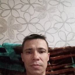 , 43 , 