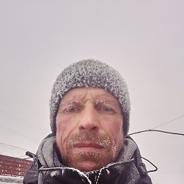 �������, 40 ���, �����