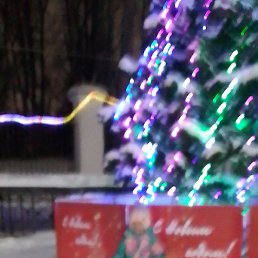 ����, ����, 48 ���