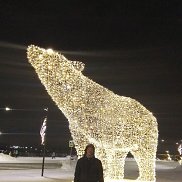 , 43 , 