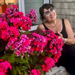 �����, �������, 62 ����