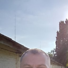 , 40 , 