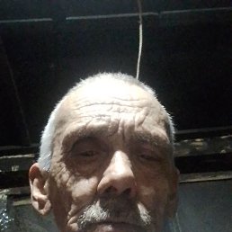 ���� ������, �������, 68 ��� - ��������� 23 ������ 2024