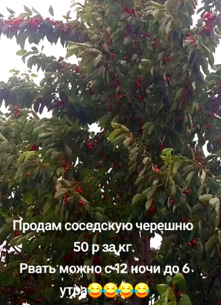   - 29  2025  05:14