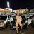 ���� ������, ������, 37 ��� - ��������� 7 ���� 2026