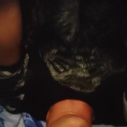 �������, ������, 33 ����