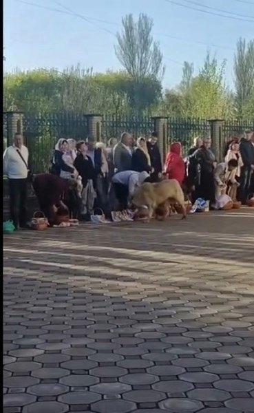 Большой белый пёс ходил по кругу. Люди стояли рядом с церковью и ждали прихода священника. У их ног ...