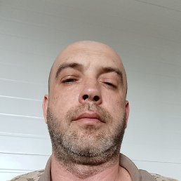 ����� �������, ������, 41 ���