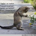 ���� ���������, ����������, 74 ���� - ��������� 20 ��� 2026 � ������ ������ ��������