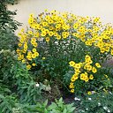 ���� ������, ������ - ��������� 10 ������� 2025 � ������ ���� ����������