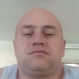 �����, �������, 43 ����