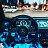 ���� ����, �����, 32 ���� - ��������� 19 ���� 2026