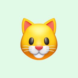 �����, ������ �����, 47 ���