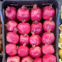 ����, ������, 49 ���