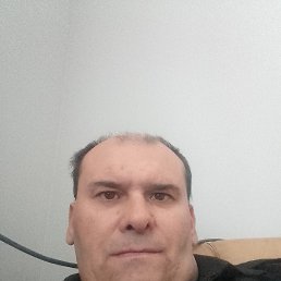 , 53, 