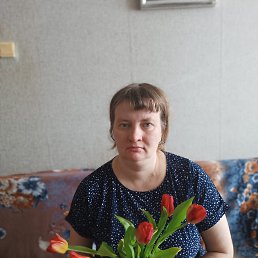 ���� ����, ������������, 43 ���� - ��������� 15 ����� 2026