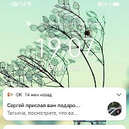 ����, 56 ���, ������