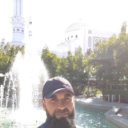 �����, ������, 43 ����