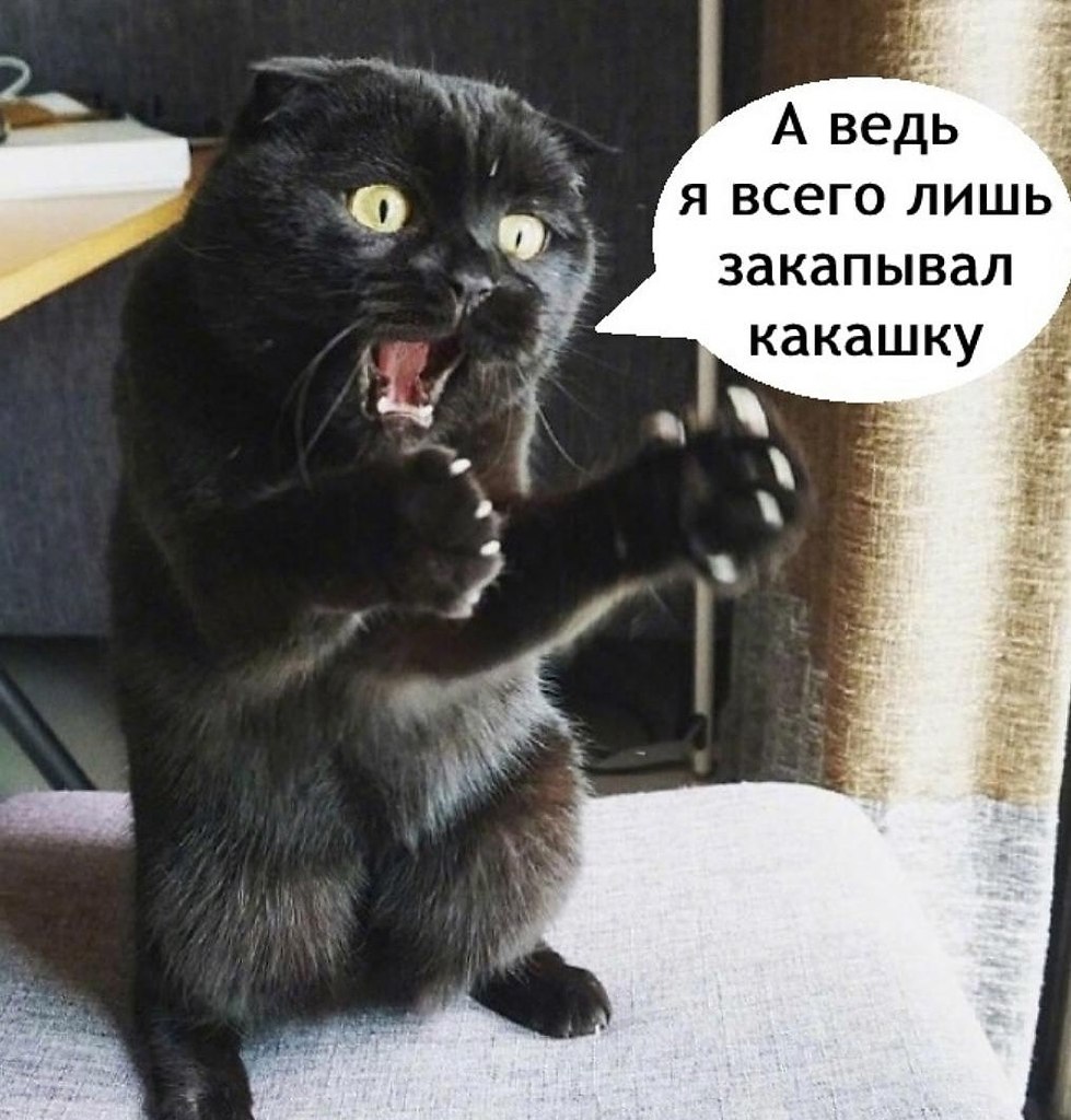 � ����... - 13 ������ 2025 � 12:17 - 3