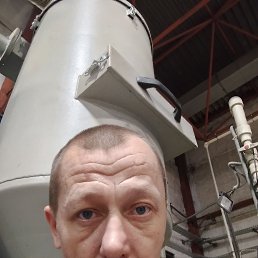 ��������, 41 ���, �������