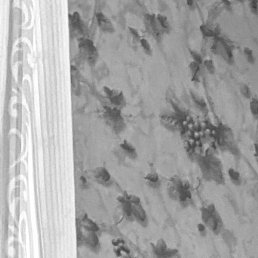 �������, ������, 24 ����