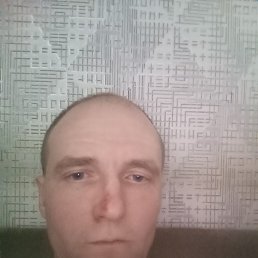 �����, 38 ���, �������