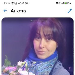 , 41, 