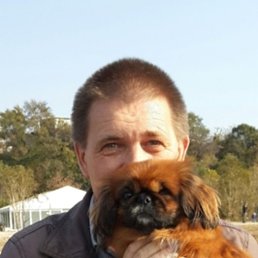 , 62 , 