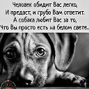 ���� ���, ����������� - ��������� 10 ������ 2026