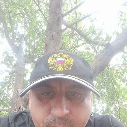 , 37, 