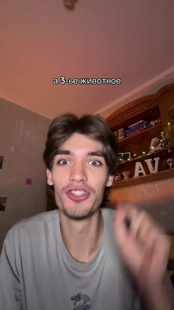 ������� ����: ��� �� �� ����� ����? - 2