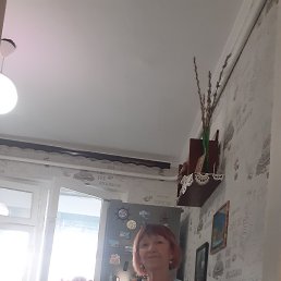 , 61, 