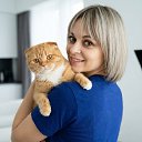 ���� ��i, ����� - ��������� 29 ����� 2026 � ������ ���� ����������