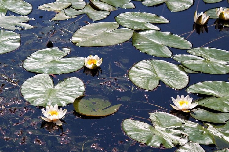 � ����� �����.������������� � ���� ������� -�, ������, ����� ��������.��� ��������� ���������� ...