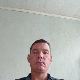 , 41 , 