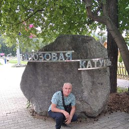 , 61, 